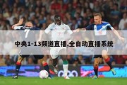 中央1-13频道直播,全自动直播系统